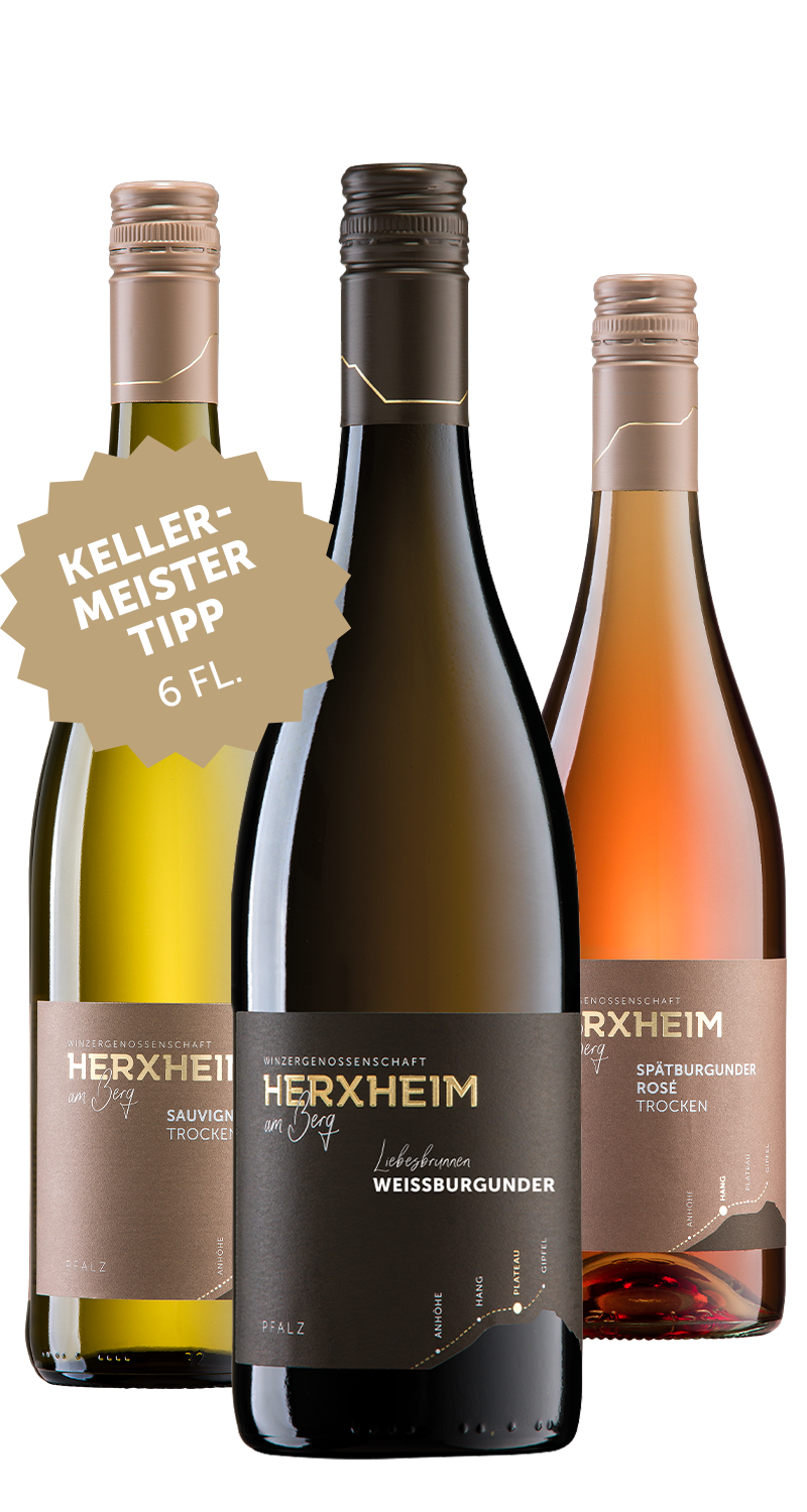 Kellermeister Tipp Paket (6 Flaschen)
